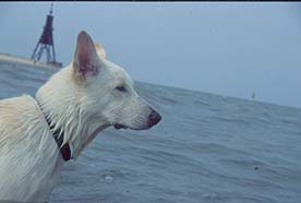 Cux21: Im Bild festgehalten: Ablaufendes Wasser.....