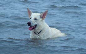 Cux27: Platz funktioniert auch im tiefen Wasser