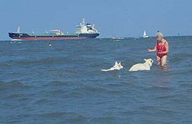 Cux8 Rettungsschwimmer???