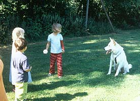 Gehorsam ist eine Grundvoraussetzung f&uuml;r das Spiel mit Kindern