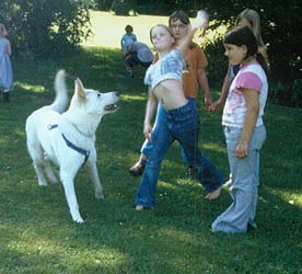Im Gegensatz zum Altenheim ist hier action gefragt