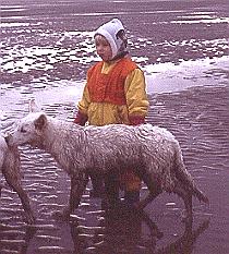 Lilja und Flocke