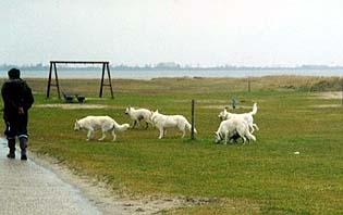 Auf dem R&uuml;ckweg