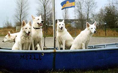 Wir sitzen alle in einem Boot....