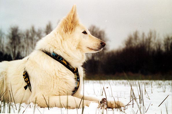 Fiala mit 11,5 Jahren im Januar 2006, Foto: Gaby von D&ouml;llen, Worpswede