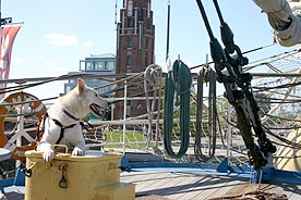 Auf der MIR
