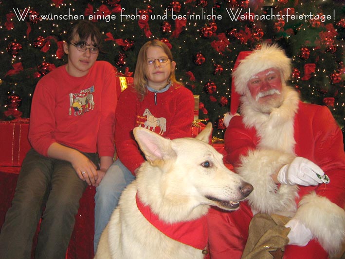 Malin, Lilja, Karhu und der Weihnachtsmann im Einkaufszentrum, 19. Dezember 2006; Foto: Gaby von D&ouml;llen