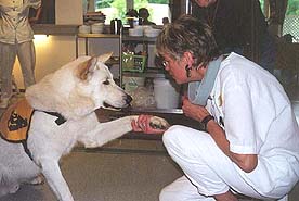 Auch die Heimmitarbeiter sind oft begeistert und mit neuen Ideen dabei