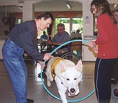 Der Reifensprung geh&ouml;rt inzwischen zum Standard