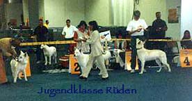 Die Jugendklasse der R&uuml;den